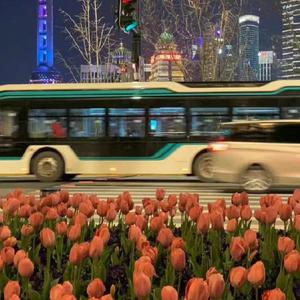 美女扒开腿㊙️男人爽桶视频
